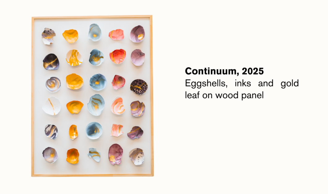 Illuminate: Continuum |  2025