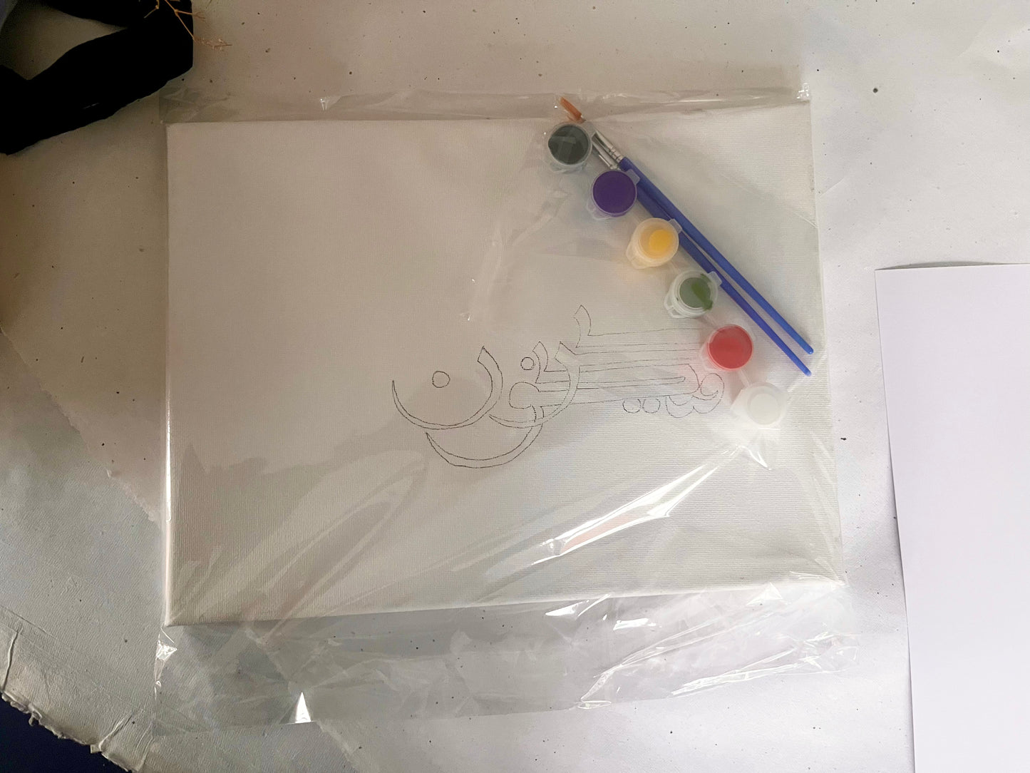 Paint Your Own Canvas Kit